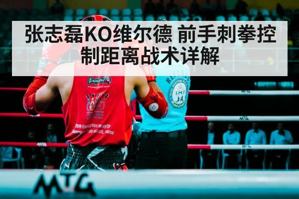 张志磊KO维尔德 前手刺拳控制距离战术详解